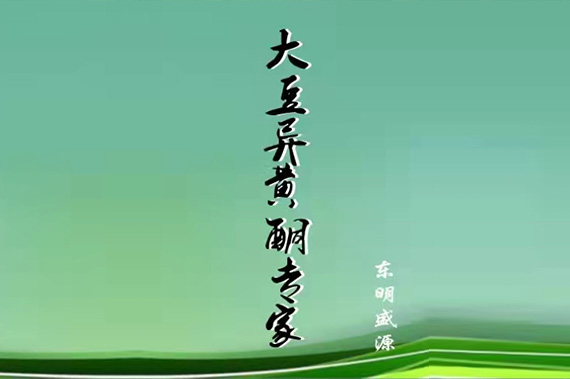 大型網(wǎng)架煤棚